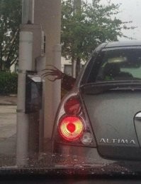 Почти всё - уродство-уродство-уродство! Никогда так не делайте! Фу же! 
Толстые неаккуратные наляпки на ногти - вид как когти у курицы!  Корявый ужас!