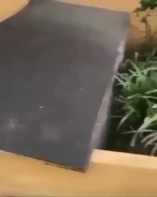 Солянка от 01.09.2020