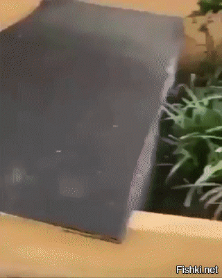 Солянка от 01.09.2020