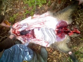 Вот так должно быть