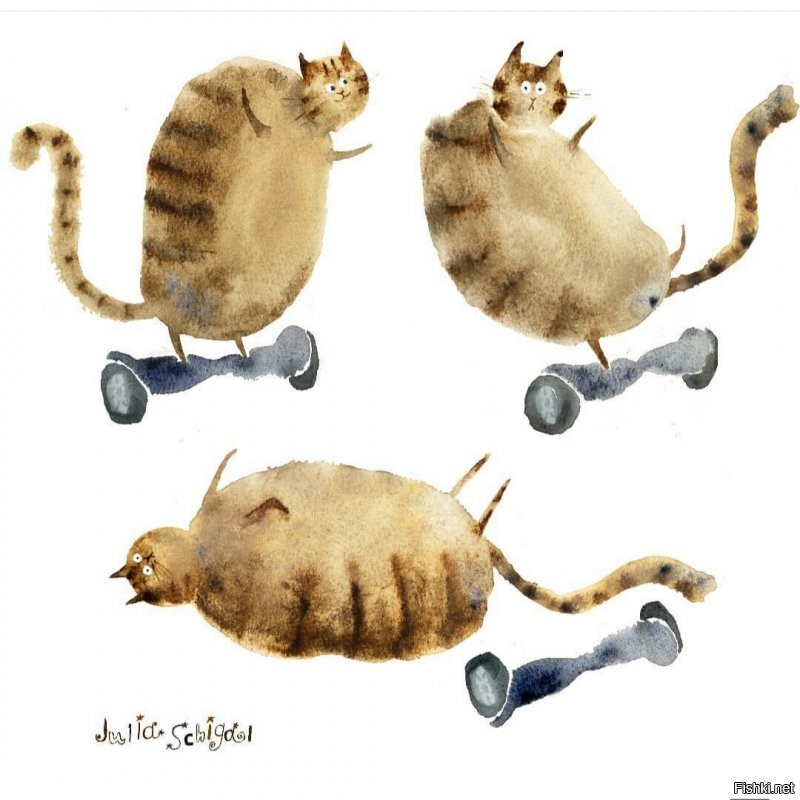 Солянка от 01.09.2020