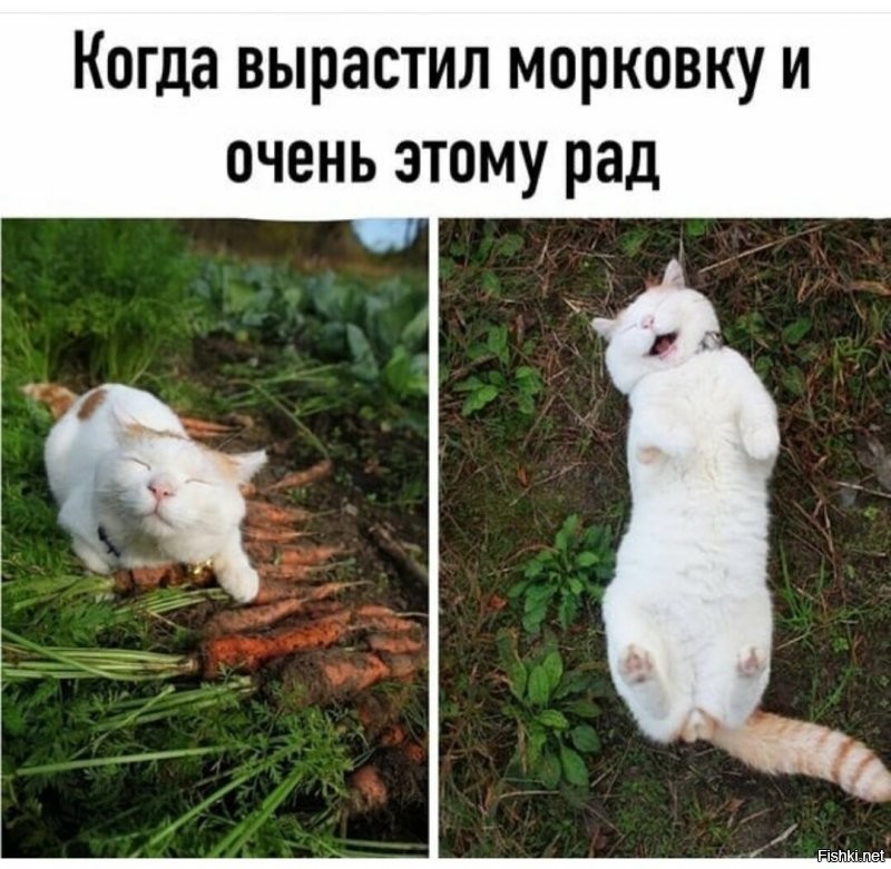Солянка от 01.09.2020