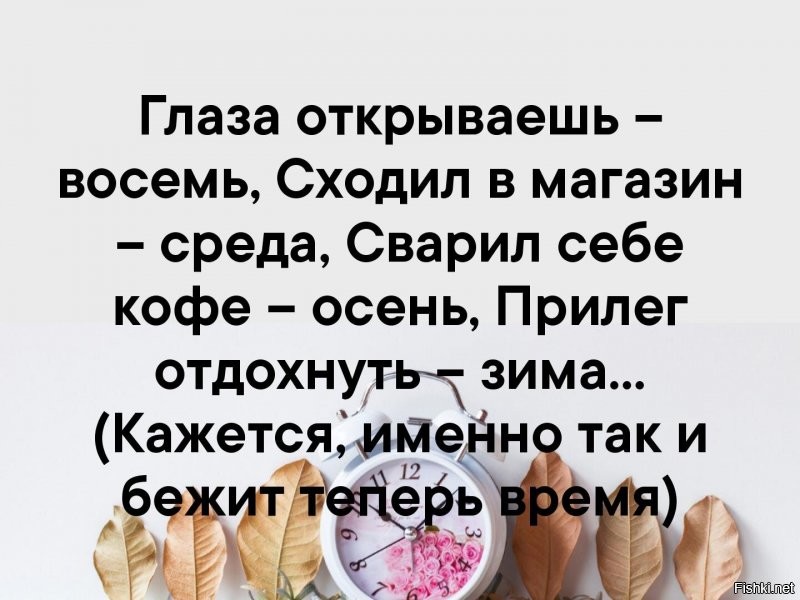Солянка от 01.09.2020