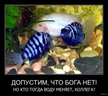 Прикольные и смешные картинки