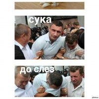 Прикольные и смешные картинки