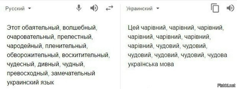 Без права выбора – на Украине отменили обучение на русском языке