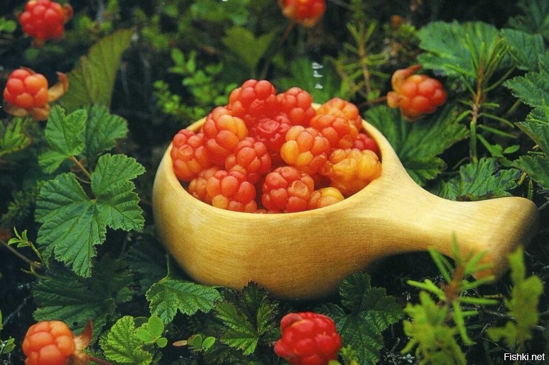 это да)
но и не странное я тоже люблю и уважаю.