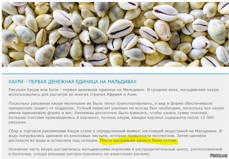 Солянка от 01.09.2020