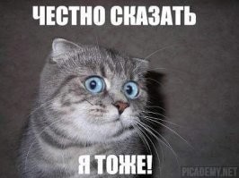 Прикольные и смешные картинки