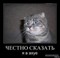 Прикольные и смешные картинки