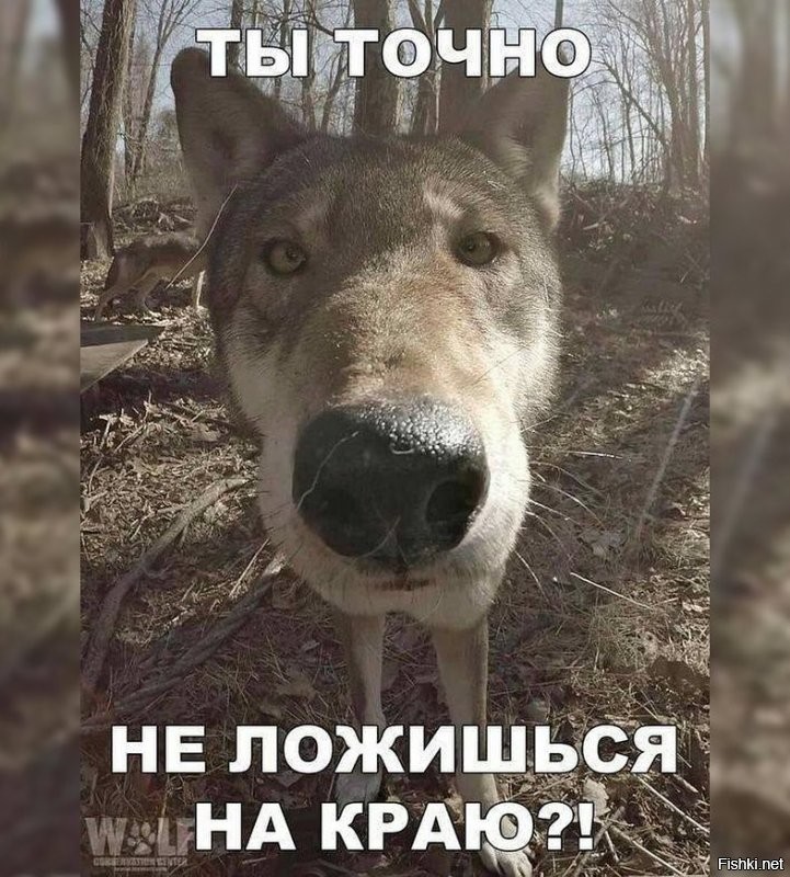 Никакого фотошопа, просто правильный ракурс