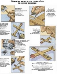 Прикольные и смешные картинки