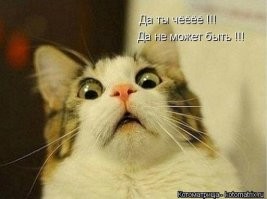 Прикольные и смешные картинки