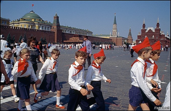 Солянка от 01.09.2020