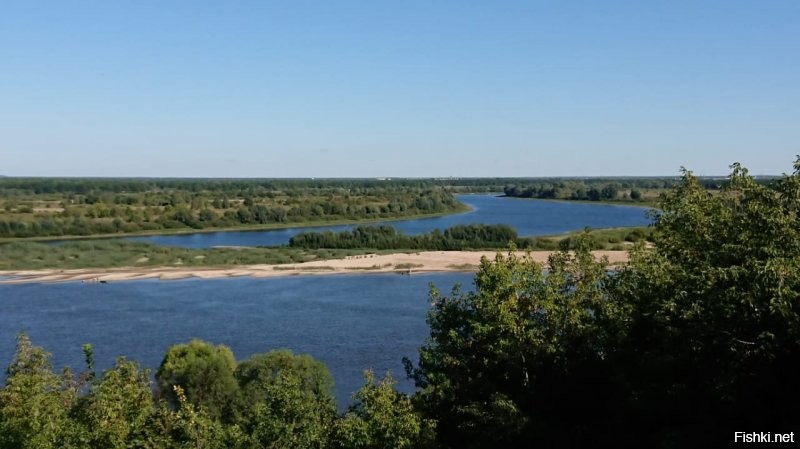 Карачарово. Основное русло и на заднем плане старица.