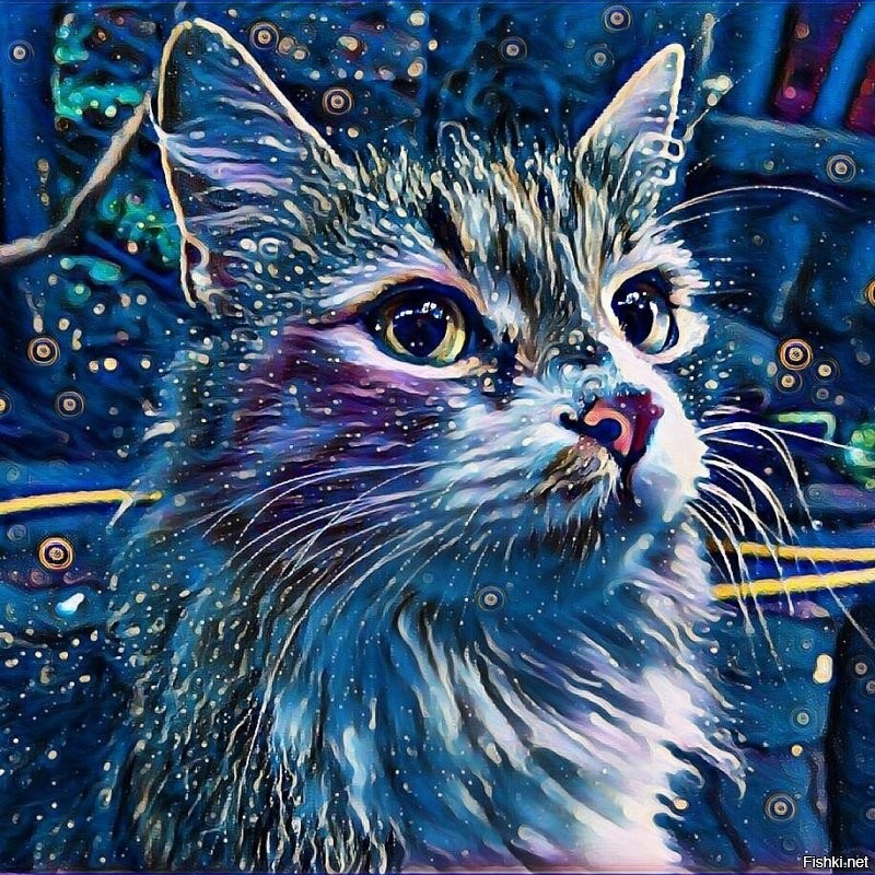 Солянка от 02.09.2020