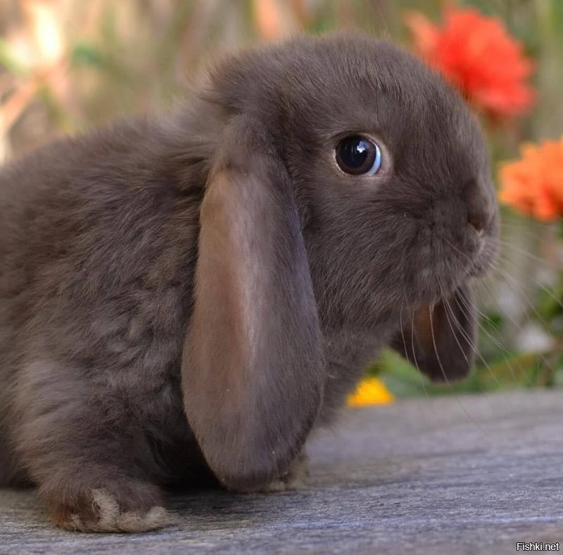 Солянка от 02.09.2020