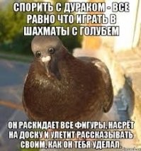Прикольные и смешные картинки