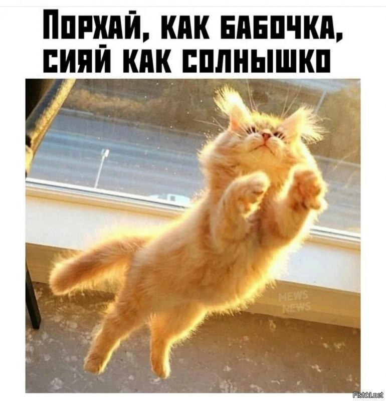 Солнечный