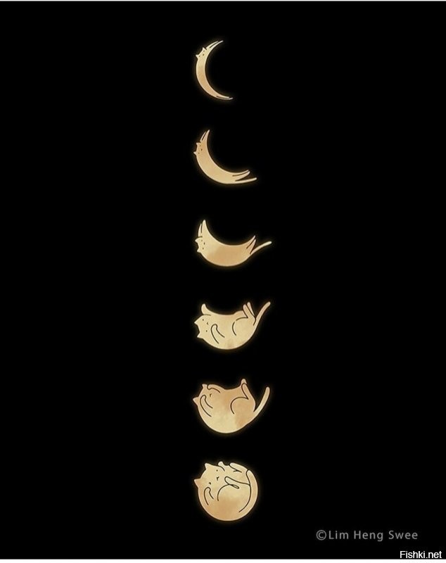 Солянка от 02.09.2020