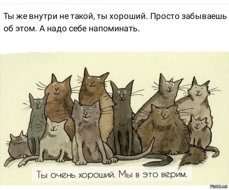 Солянка от 02.09.2020