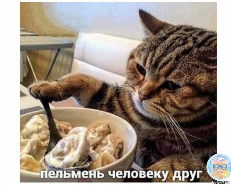 вы по ним скучали