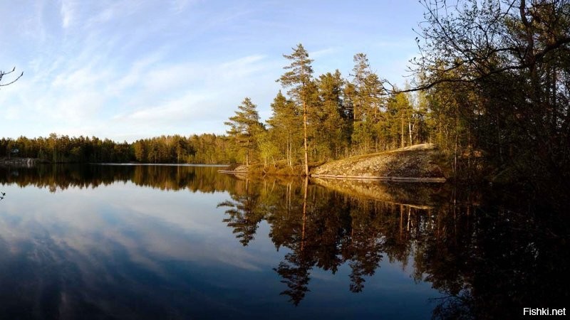 Солянка от 02.09.2020