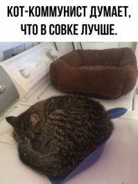 Балтийский путь