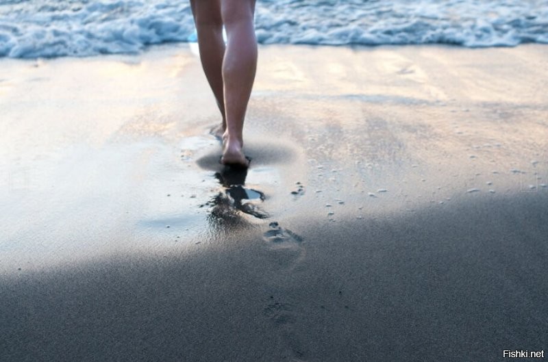 Солянка от 01.09.2020