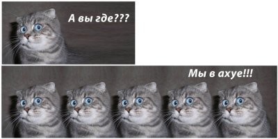 Прикольные и смешные картинки