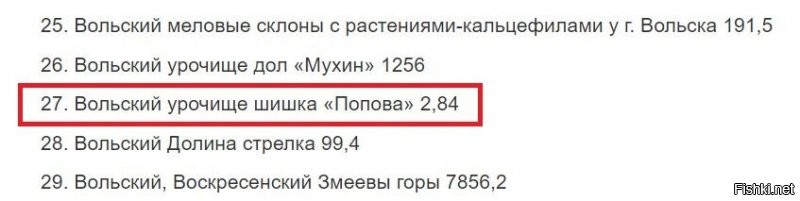 Новый «налог на природу»: тысячи российских парков закроют для бесплатного посещения