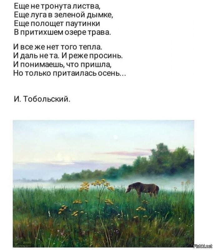 Солянка от 02.09.2020