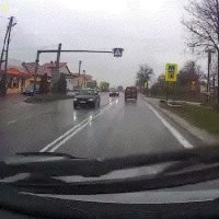 Собака умнее многих людей.)))