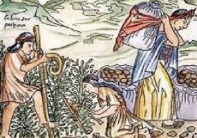 Так вот они предки белорусов!
Инки измеряли свои единицы времени по тому, сколько времени нужно, чтобы приготовить картофель.