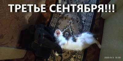 И снова 3-е сентября