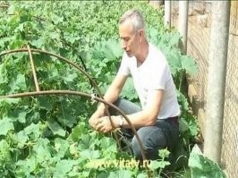 Уж лучше такая смерть, чем эта