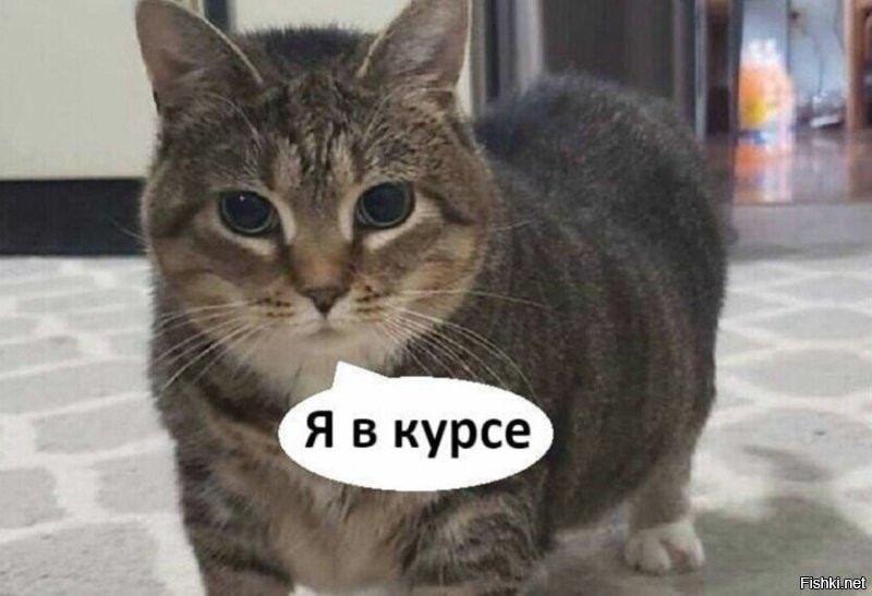 Солянка от 03.09.2020