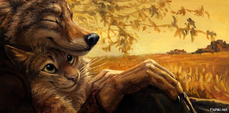 Солянка от 03.09.2020