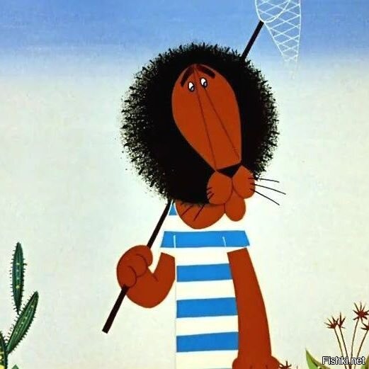 Солянка от 03.09.2020