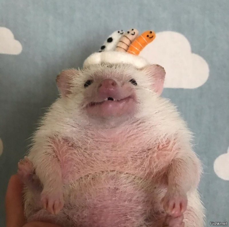 Солянка от 03.09.2020