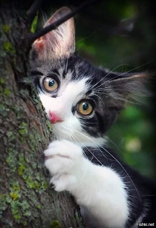 Солянка от 03.09.2020