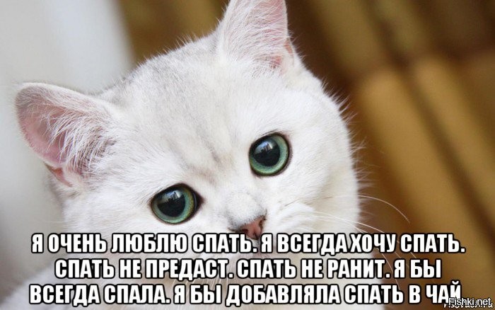 Солянка от 03.09.2020