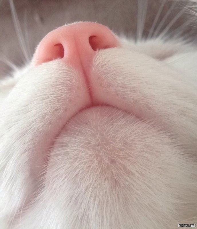 Солянка от 03.09.2020