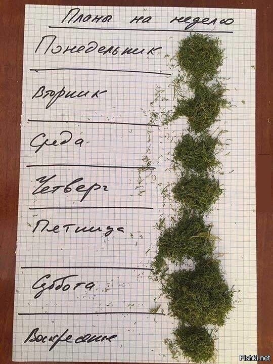 Солянка от 03.09.2020