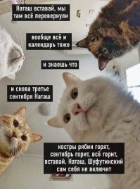 Прикольные и смешные картинки