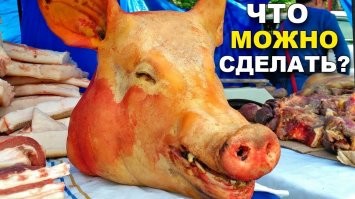 Прикольные и смешные картинки