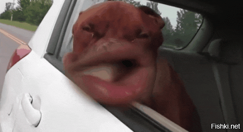 ожидание и реальность