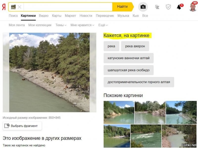 Яндексу при виде картинке начало казаться...