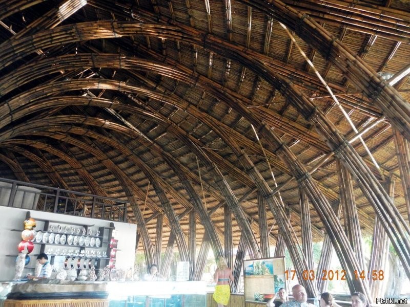 Местная экологичная кафешка...