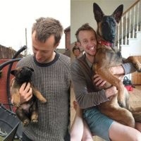 Посмотрел эту картинку и сразу вспомнил как кряхтят щенки когда берёшь их на руки